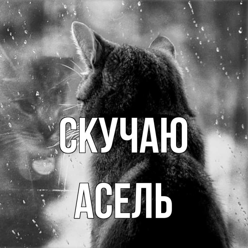 Картинка Скучаю, Асель