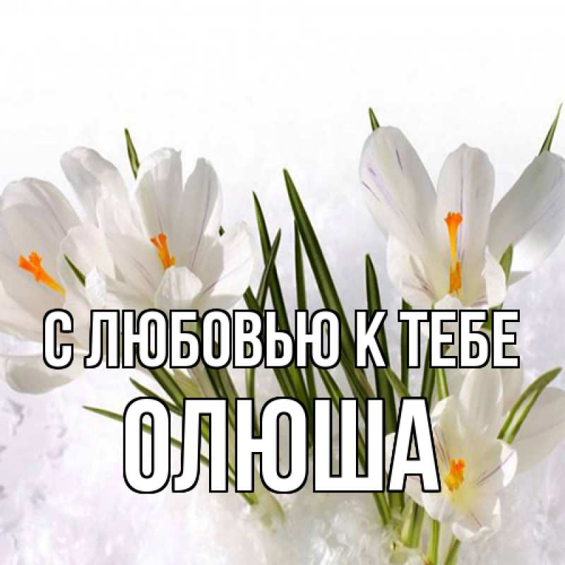 Картинка С любовью к тебе, Олюша