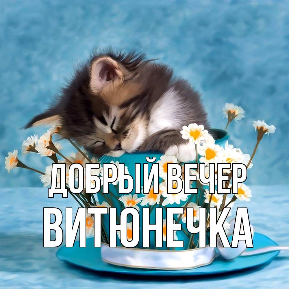 Открытка  с именем. Витюнечка, Добрый вечер  