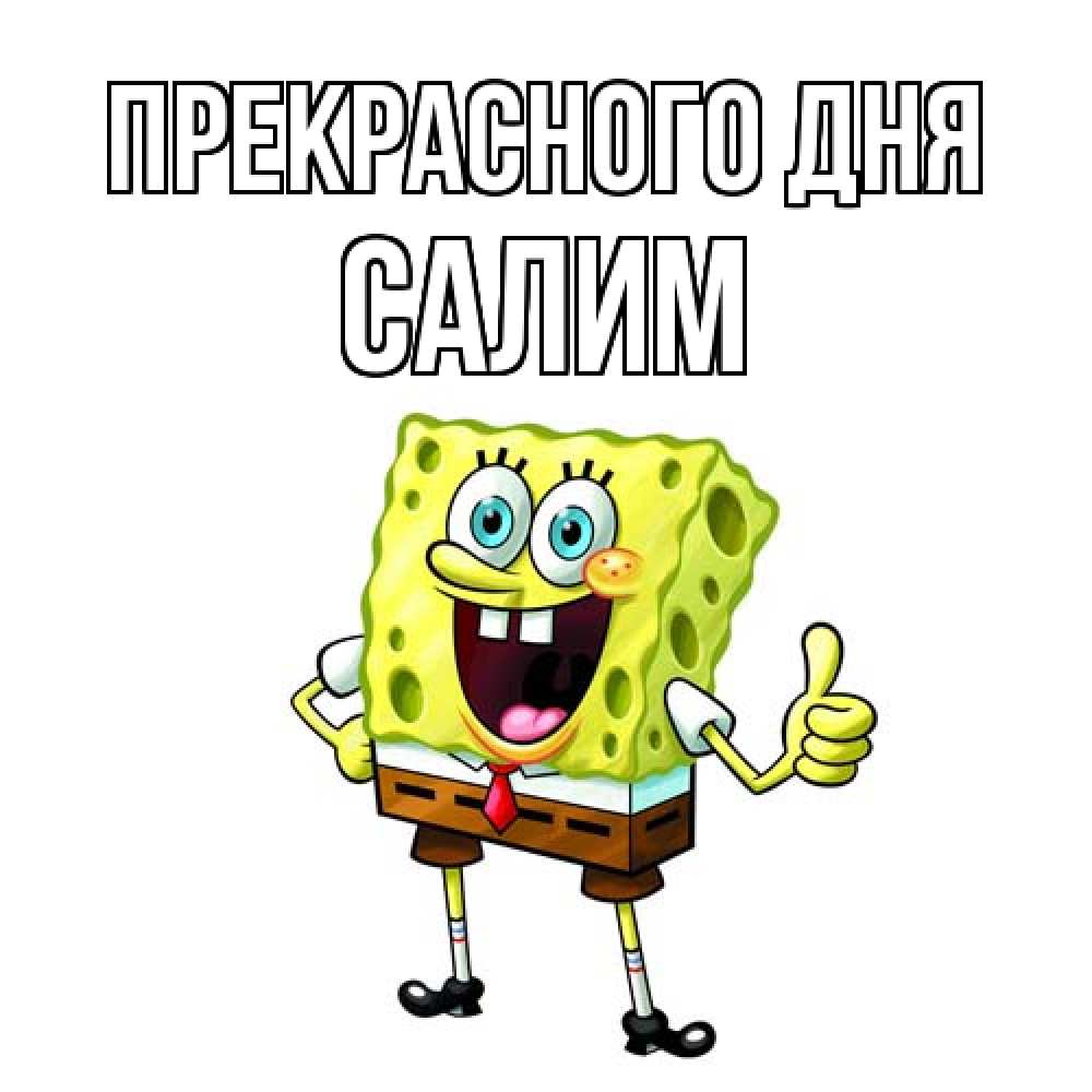 Открытка  с именем. Салим, Прекрасного дня  