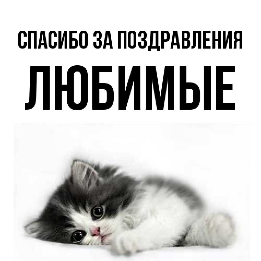 Открытка  с именем. Любимые, Спасибо за поздравления  