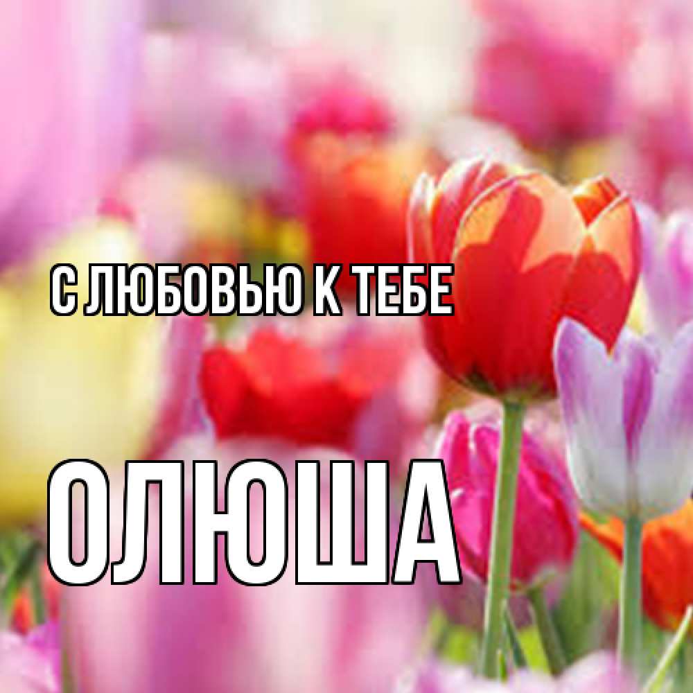 Открытка  с именем. Олюша, С любовью к тебе  