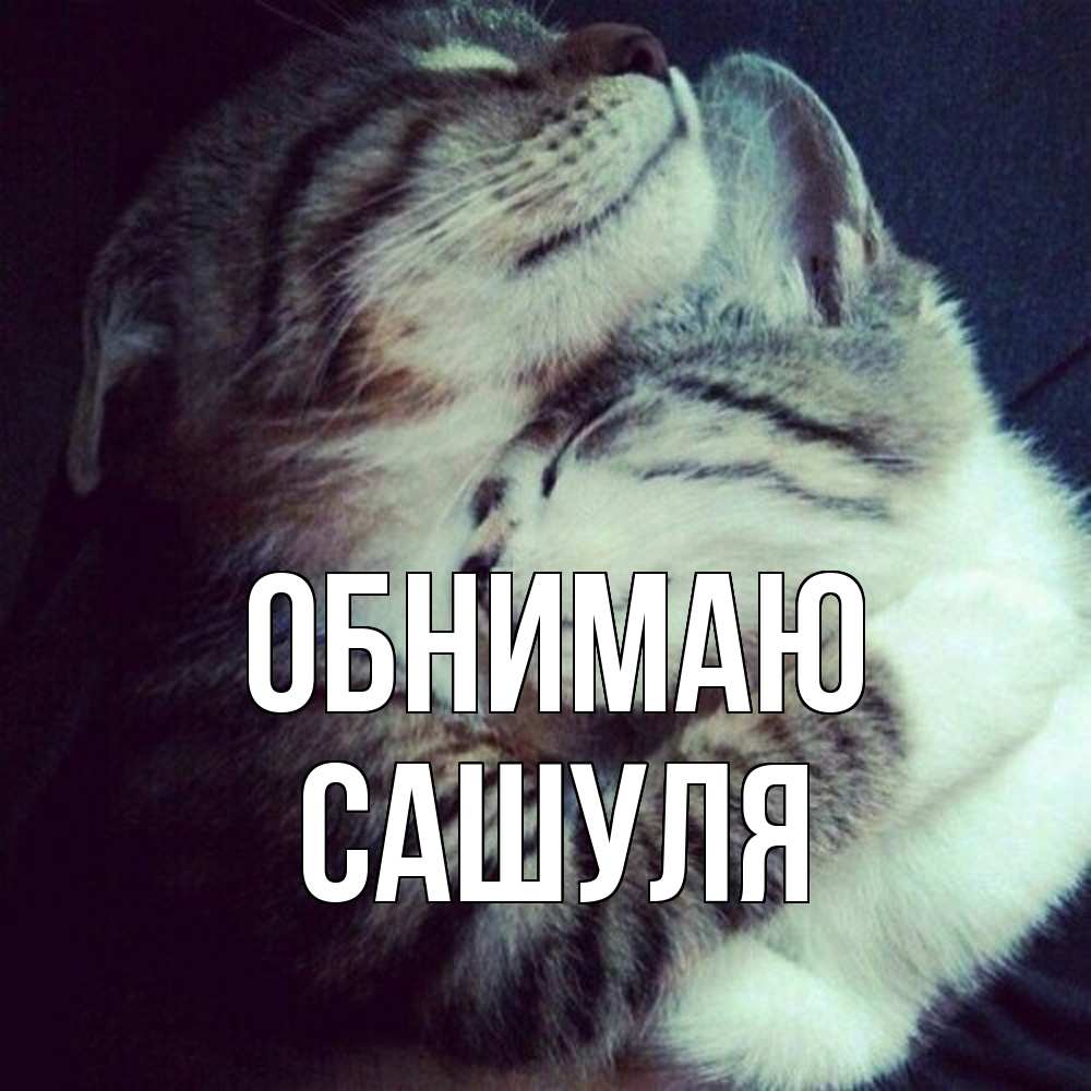 Открытка  с именем. Сашуля, Обнимаю  