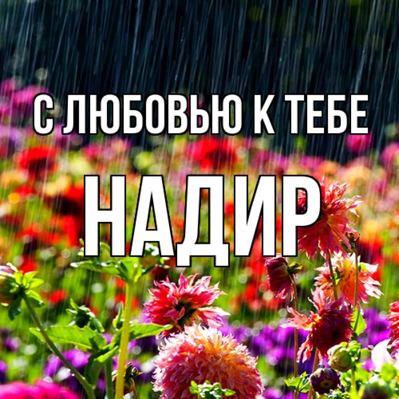 Картинка С любовью к тебе, Надир