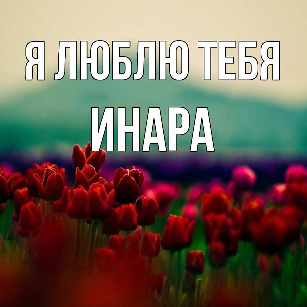 Открытка  с именем. Инара, Я люблю тебя  