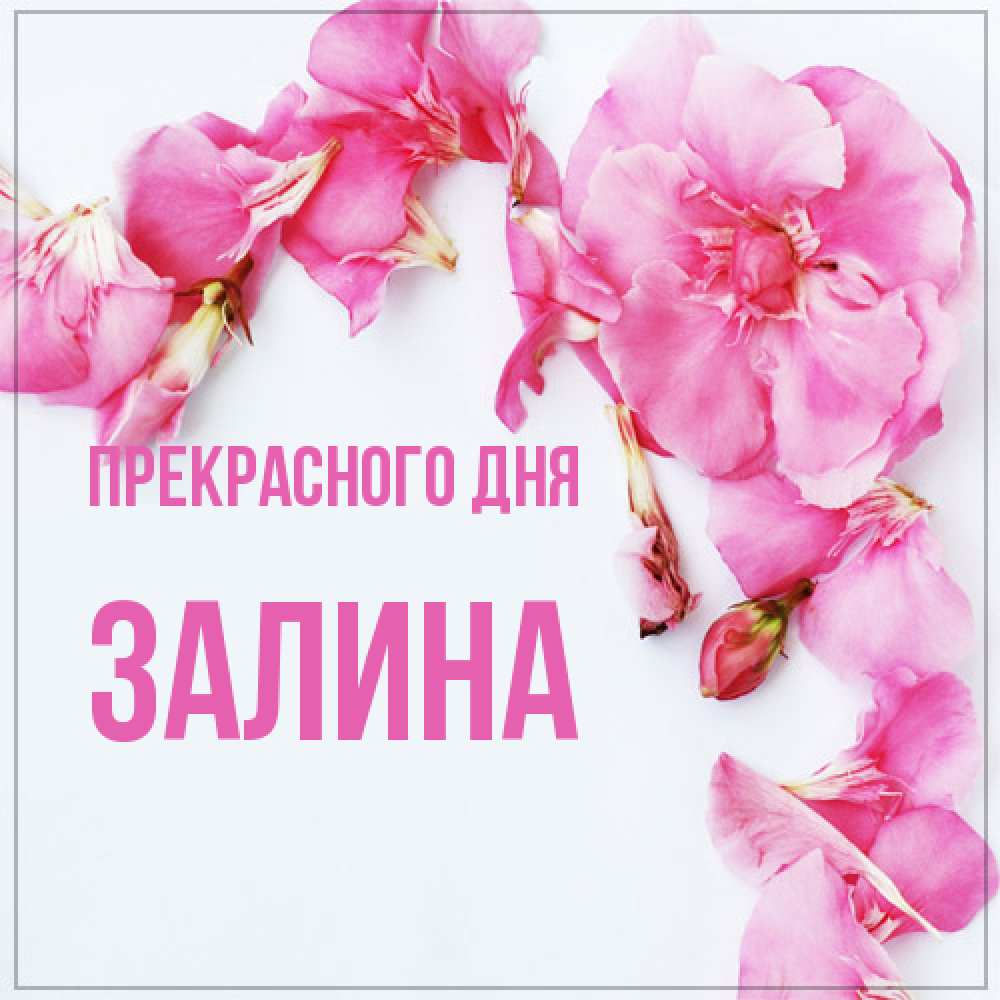 Открытка  с именем. Залина, Прекрасного дня  