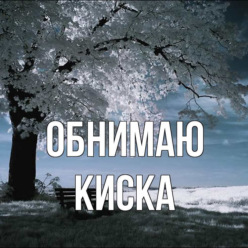Открытка  с именем. Киска, Обнимаю  