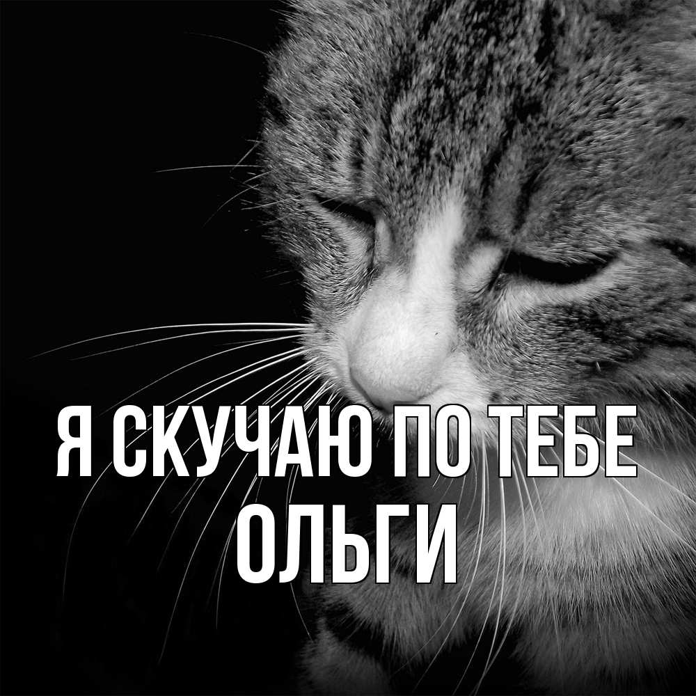 Открытка  с именем. Ольги, Я скучаю по тебе  