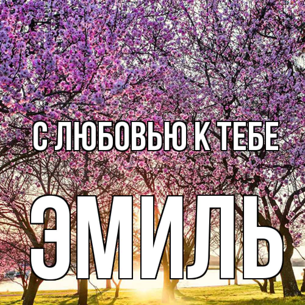 Открытка  с именем. Эмиль, С любовью к тебе  