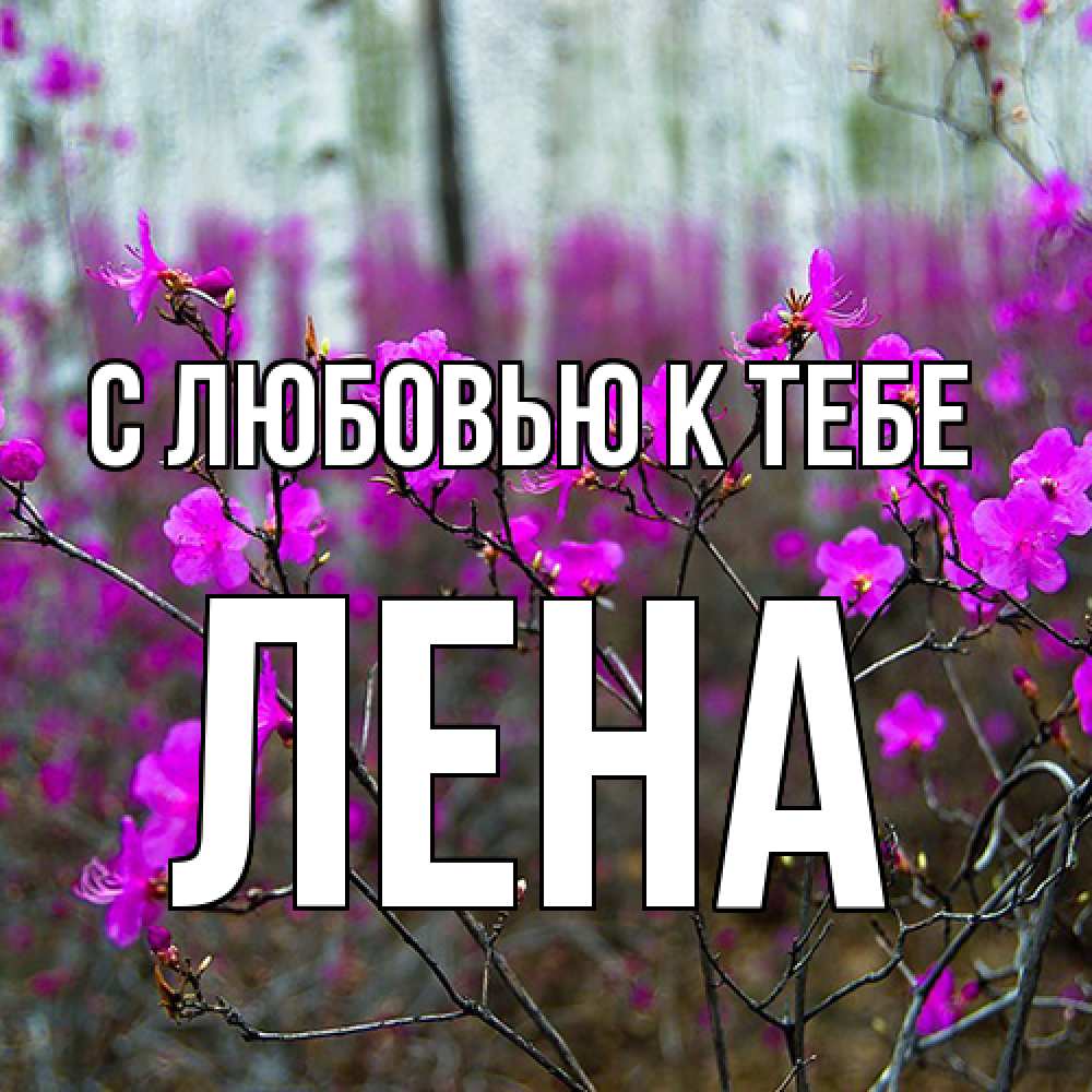 Открытка  с именем. лена, С любовью к тебе  