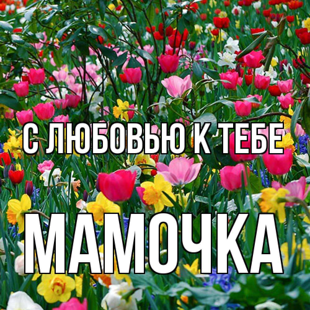 Открытка  с именем. Мамочка, С любовью к тебе  