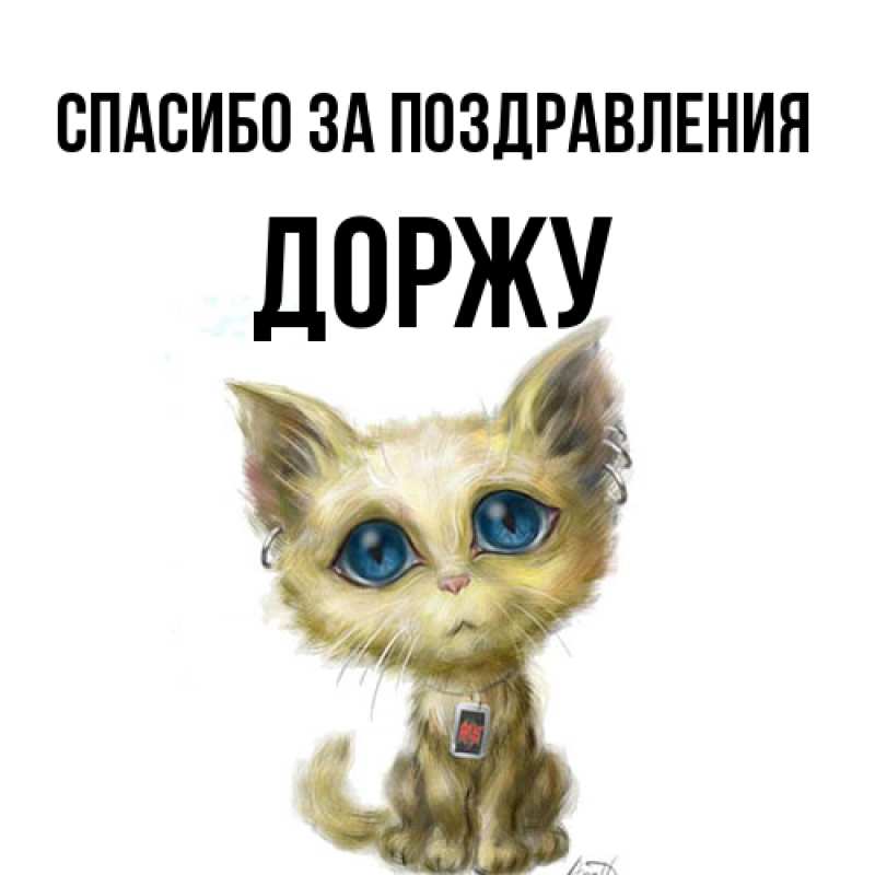 Картинка Спасибо за поздравления, Доржу