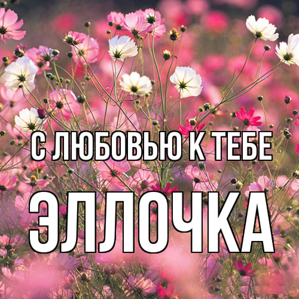 Открытка  с именем. Эллочка, С любовью к тебе  