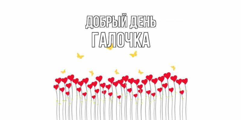 Картинка Добрый день, Галочка