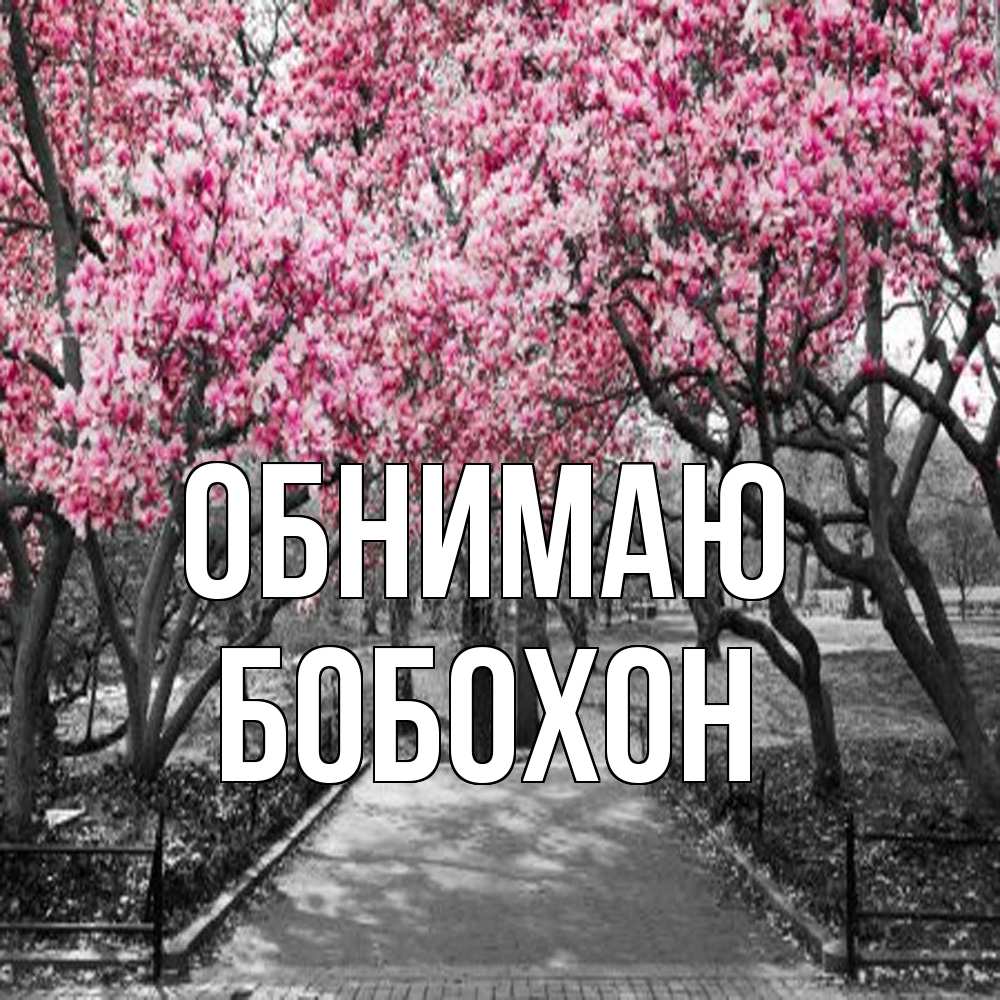 Открытка  с именем. Бобохон, Обнимаю  