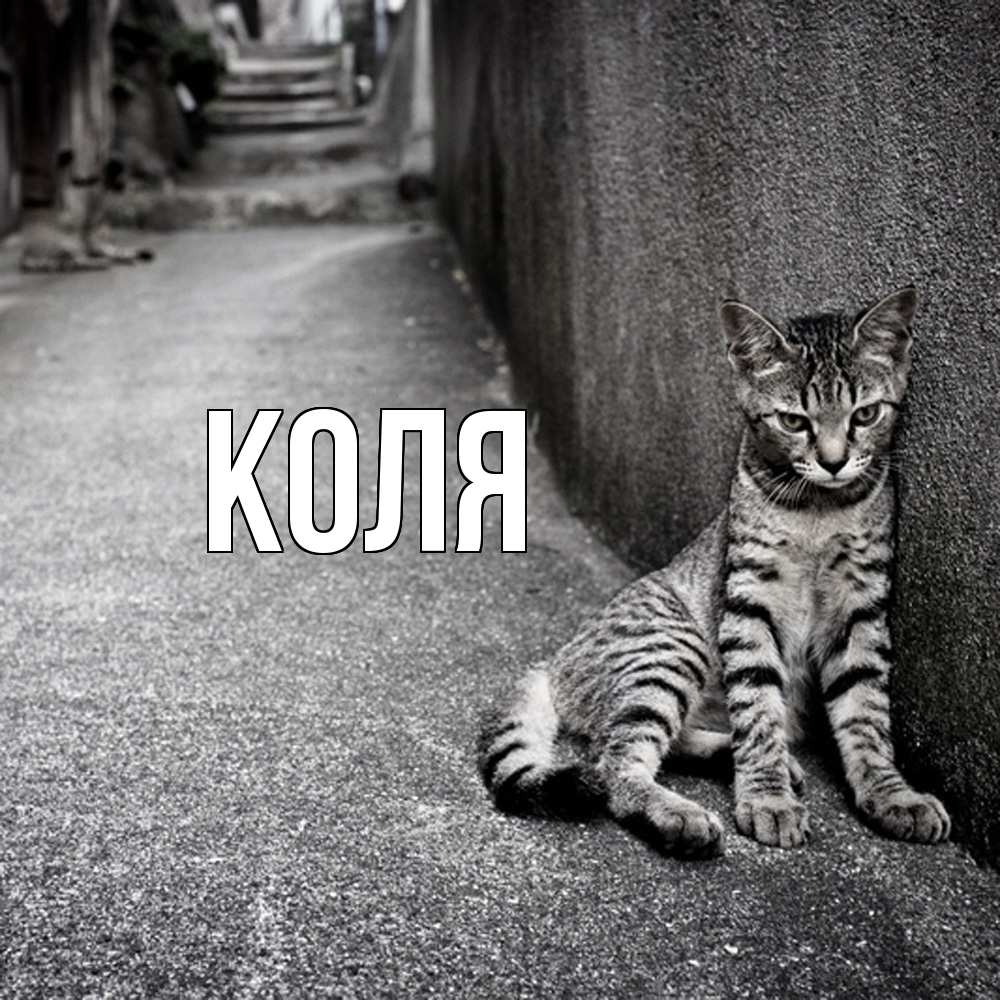 Открытка  с именем. коля, Главная  