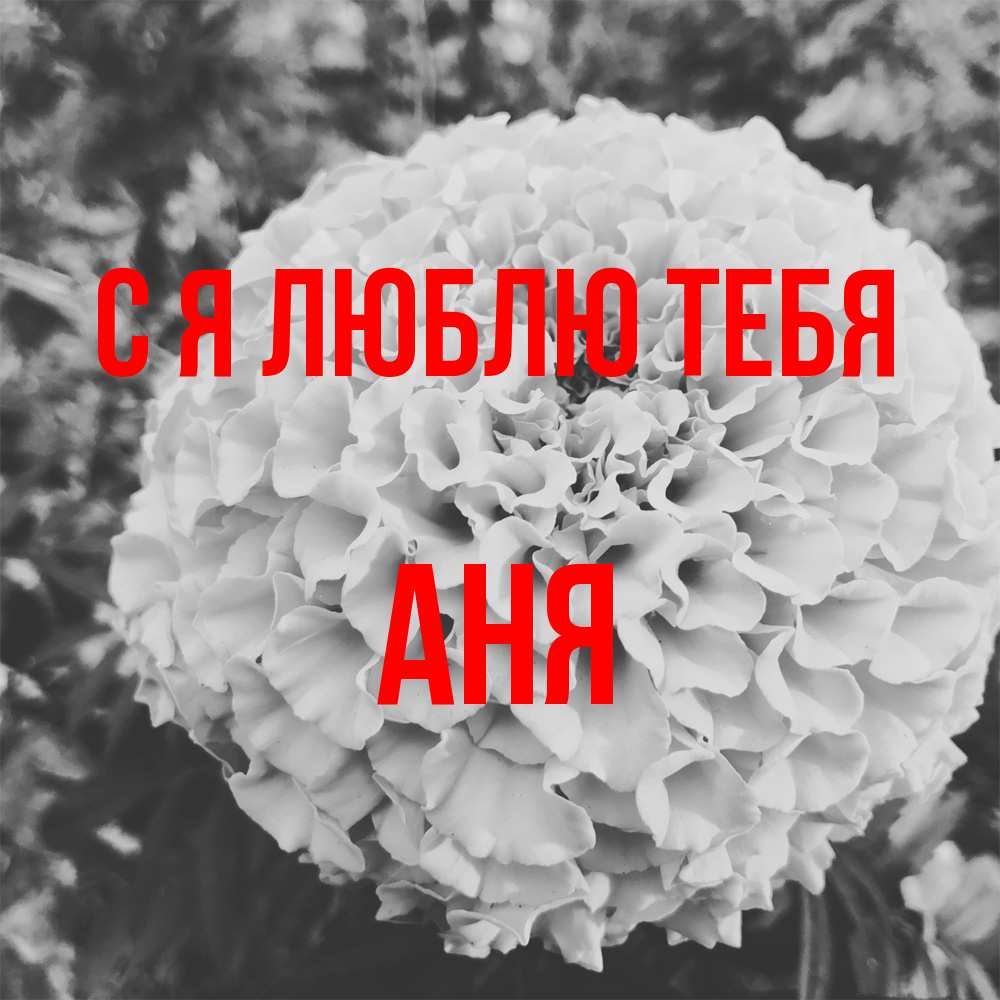 Открытка  с именем. Аня, Я люблю тебя  