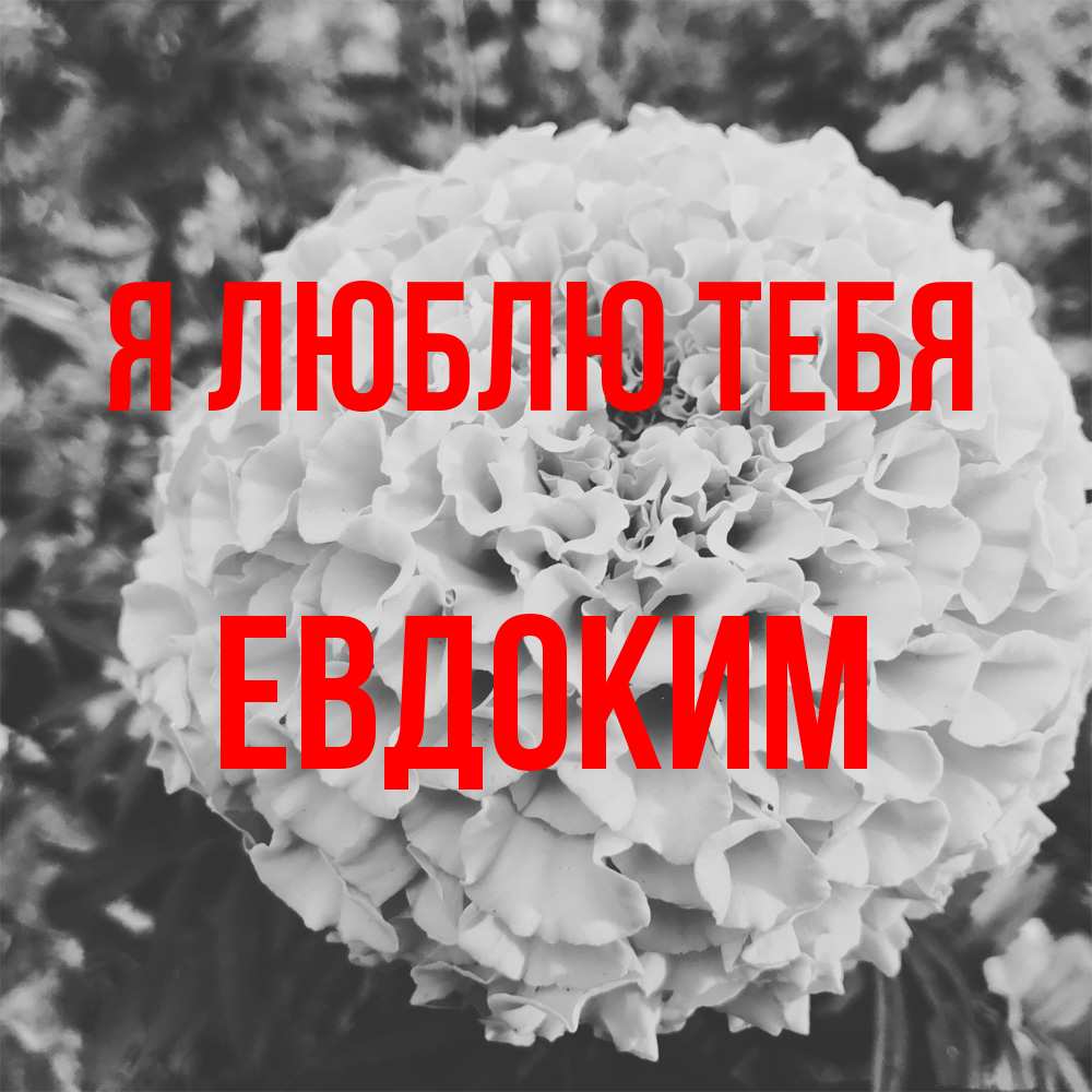 Открытка  с именем. Евдоким, Я люблю тебя  