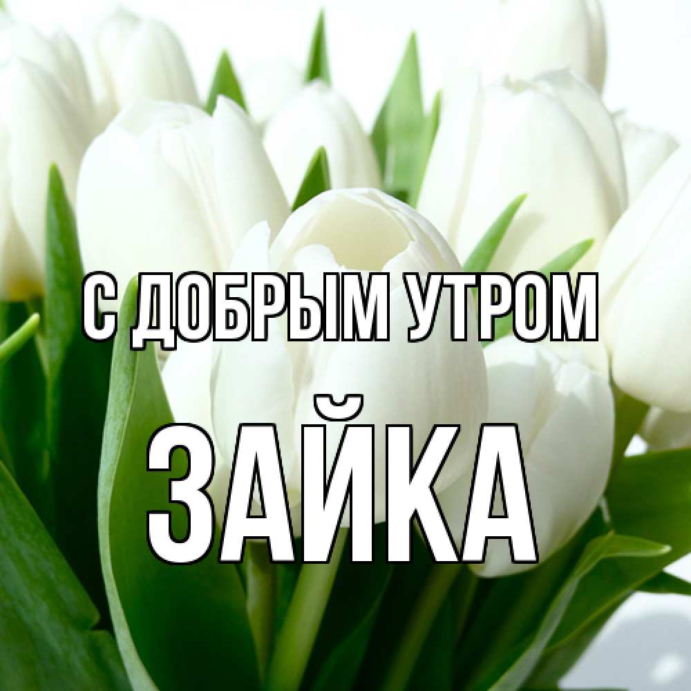 Открытка  с именем. Зайка, С добрым утром  