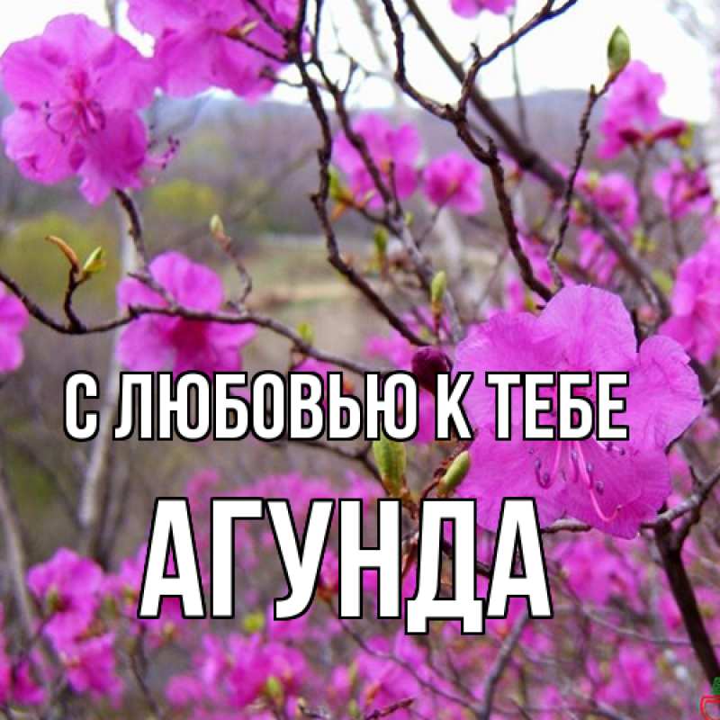 Открытка с именем, Агунда, С любовью к тебе