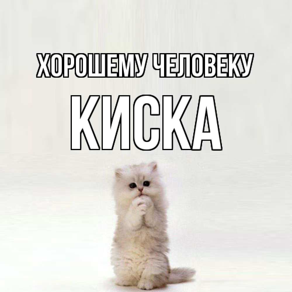 Открытка  с именем. Киска, Хорошему человеку  