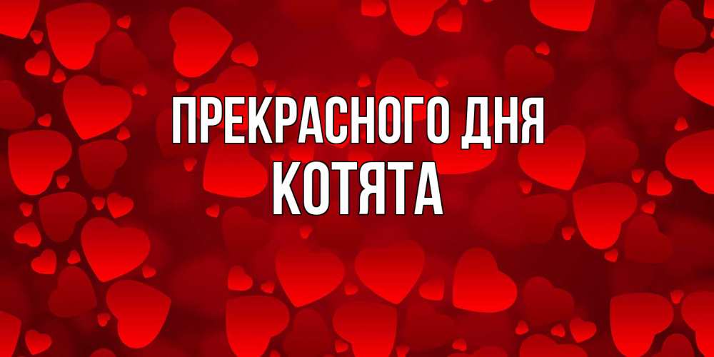 Открытка  с именем. Котята, Прекрасного дня  