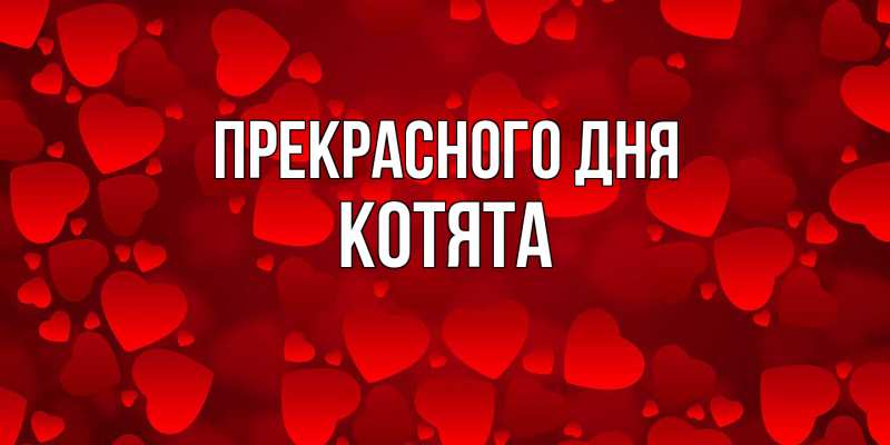 Картинка Прекрасного дня, Котята