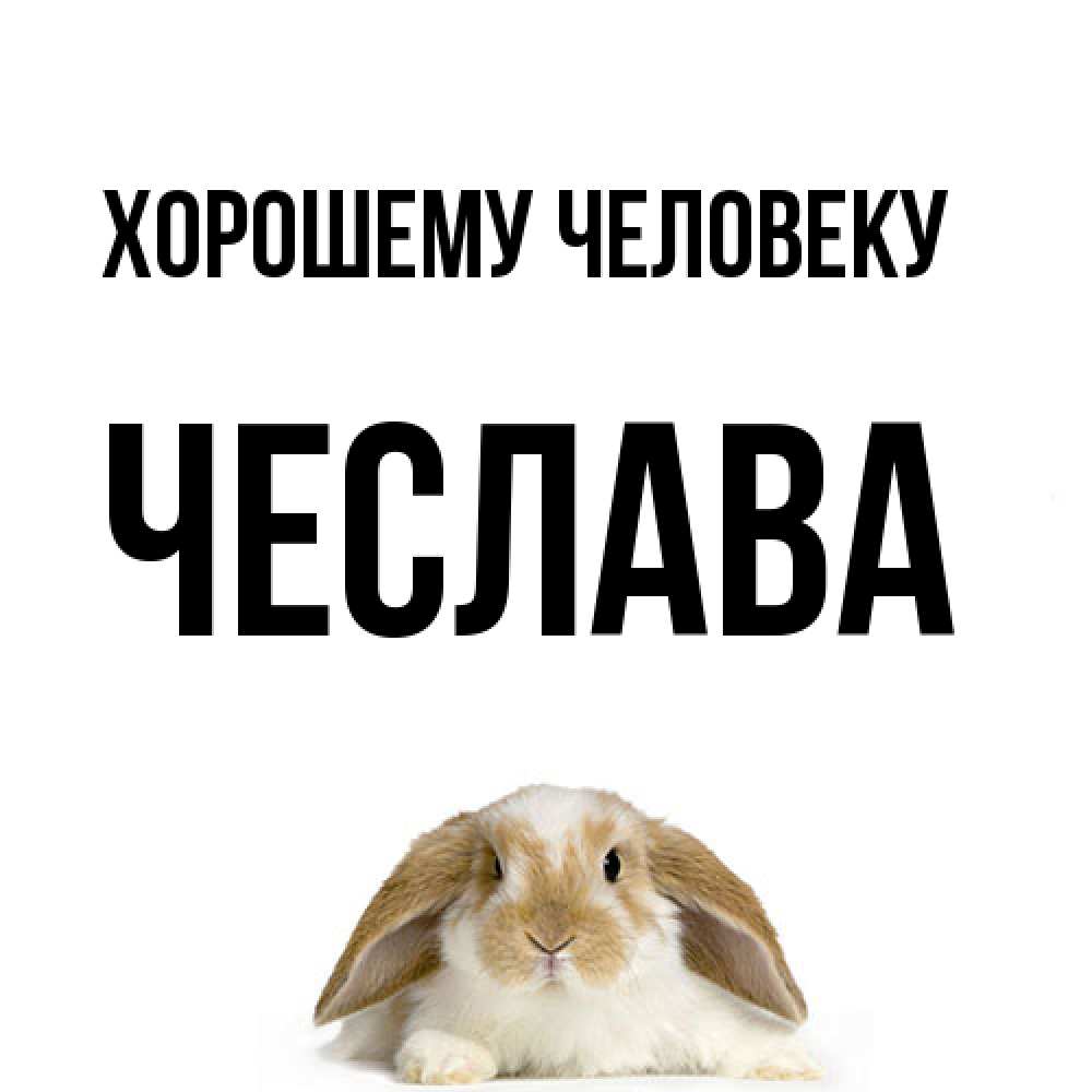 Открытка  с именем. Чеслава, Хорошему человеку  
