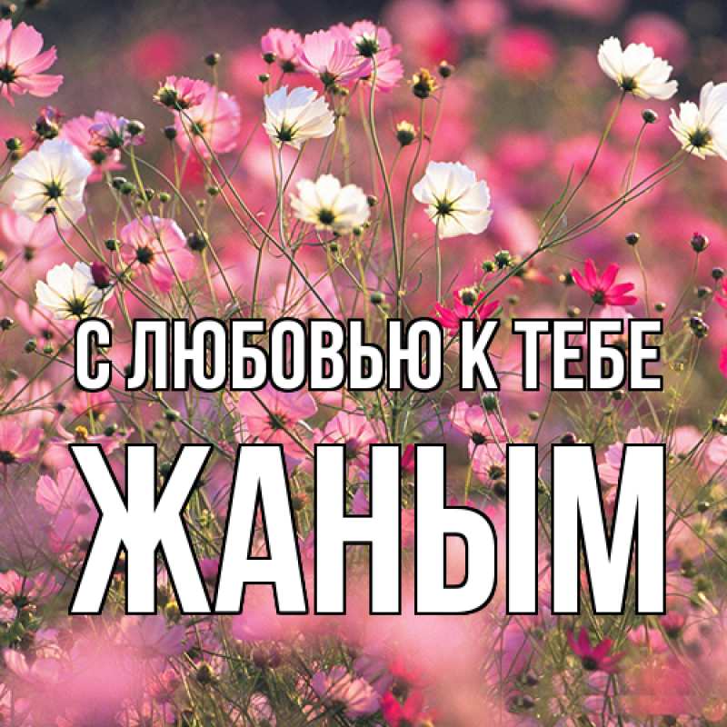 Картинка С любовью к тебе, Жаным