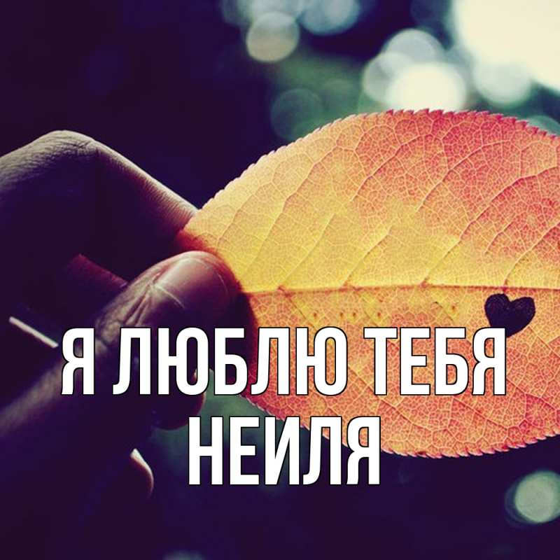 Картинка Я люблю тебя, Неиля