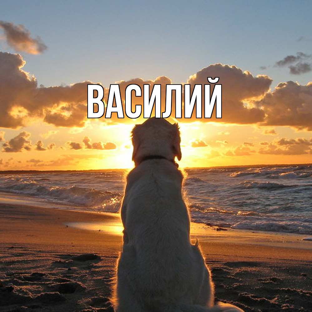 Открытка  с именем. Василий, Главная  