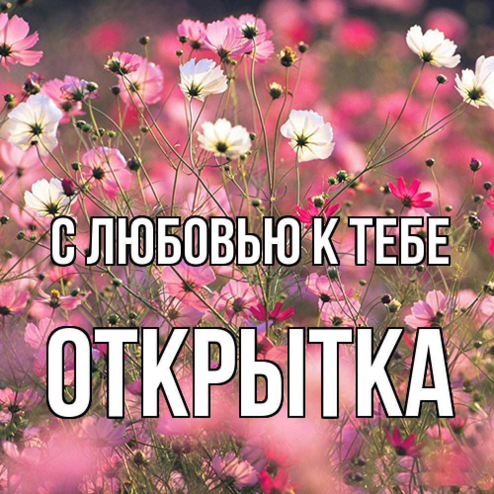 Открытка  с именем. открытка, С любовью к тебе  