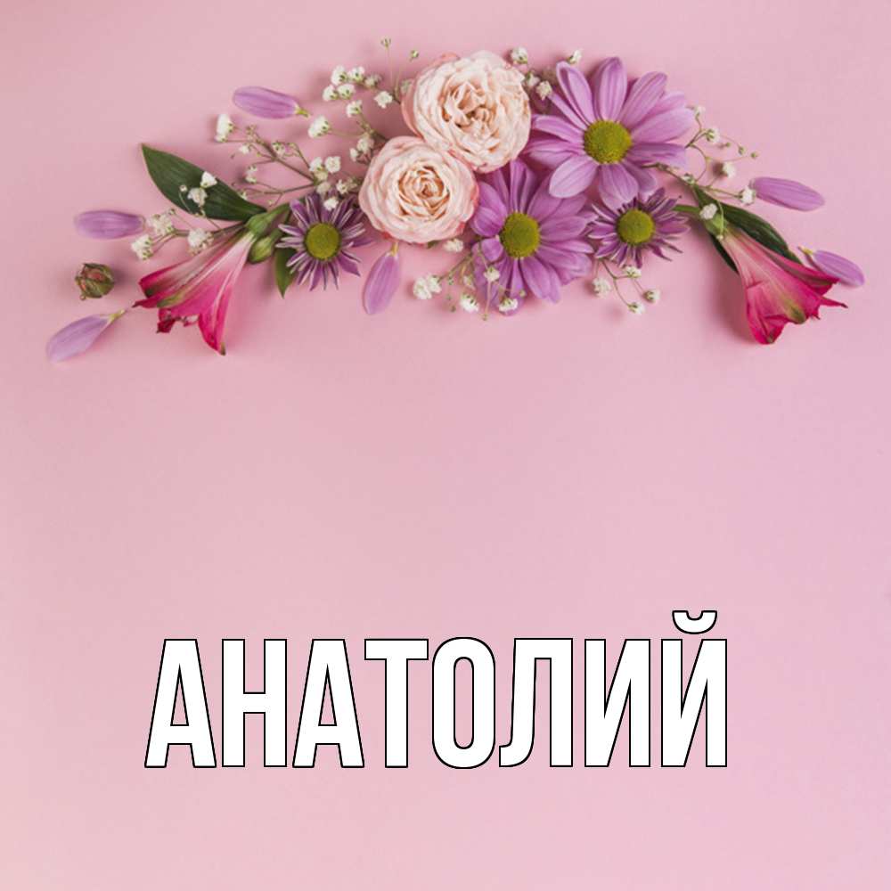 Открытка  с именем. Анатолий, Главная  