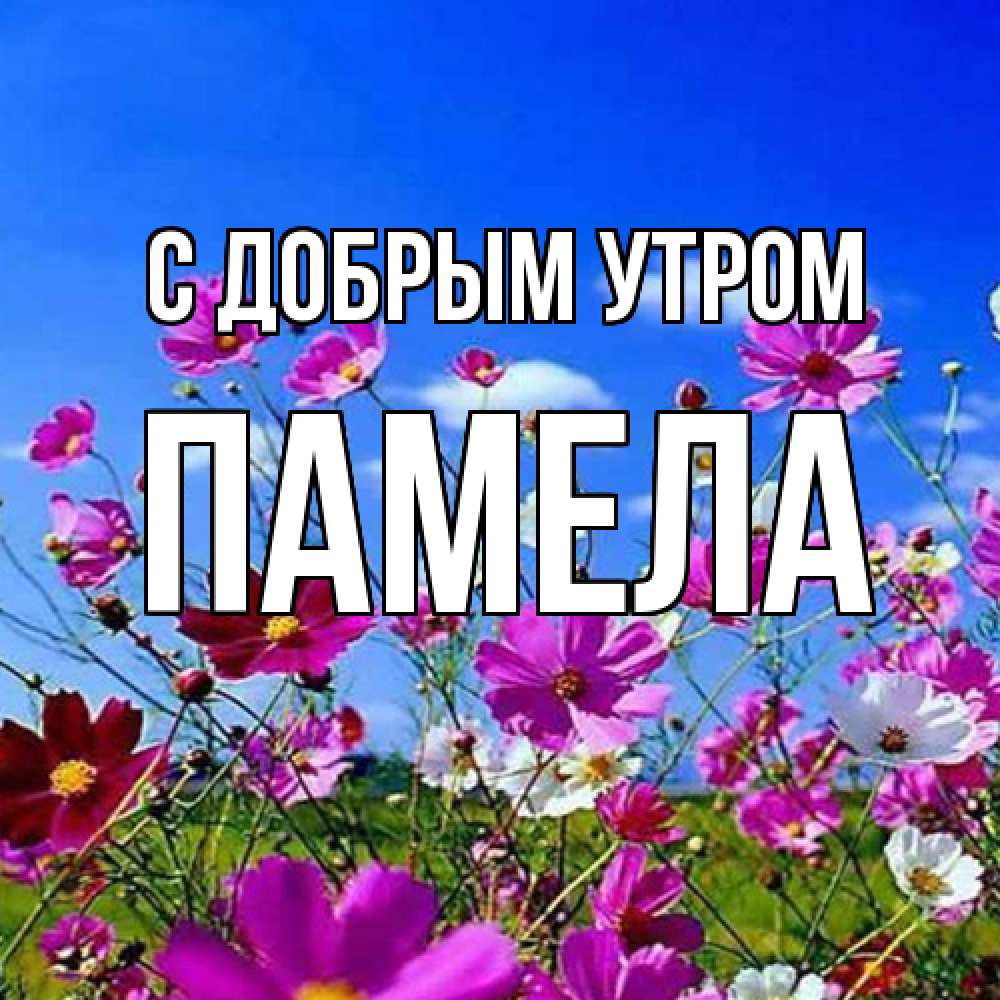 Открытка  с именем. Памела, С добрым утром  