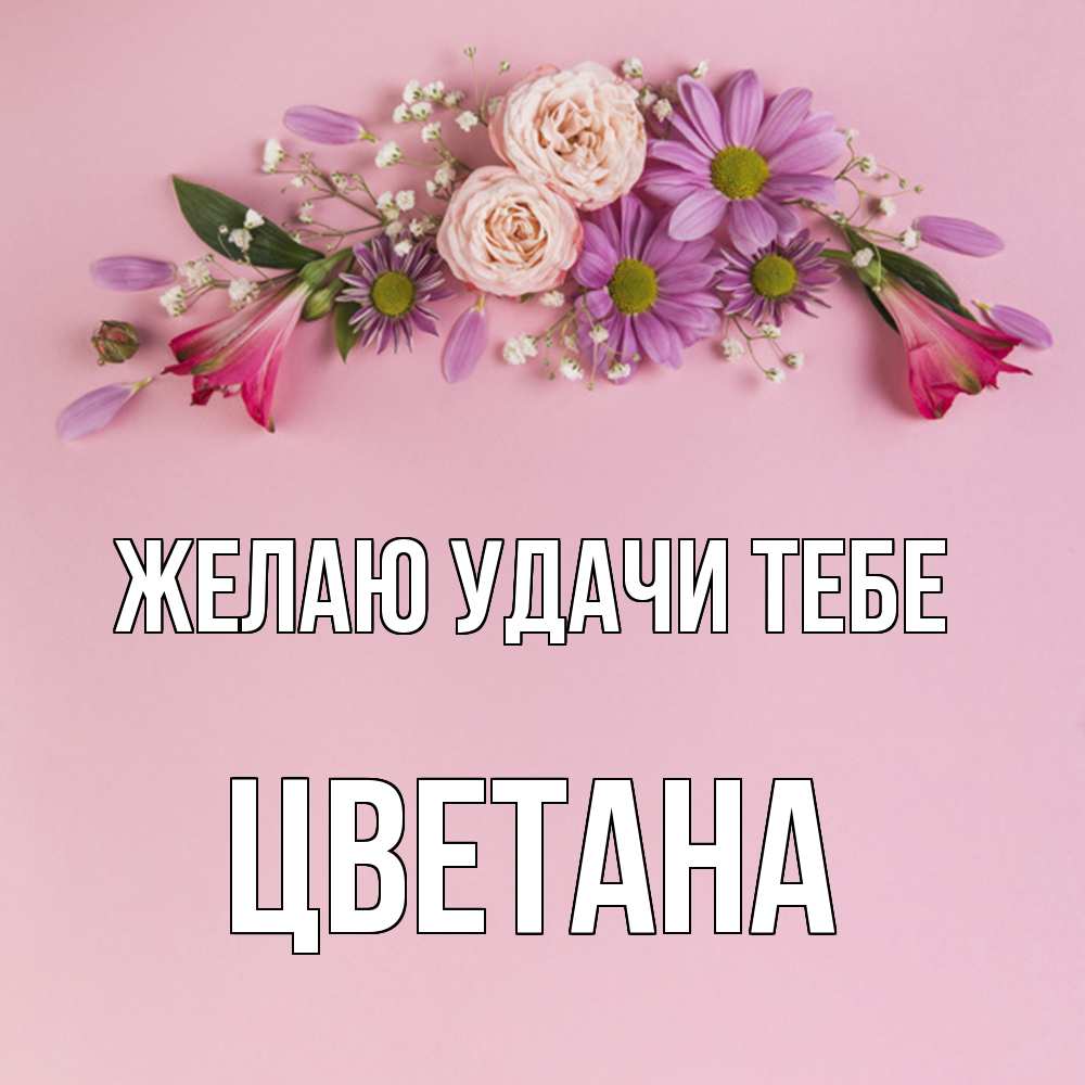 Открытка с именем Цветана Желаю удачи тебе. Открытки на каждый день с  именами и пожеланиями.