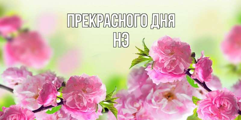 Картинка Прекрасного дня, Нэ