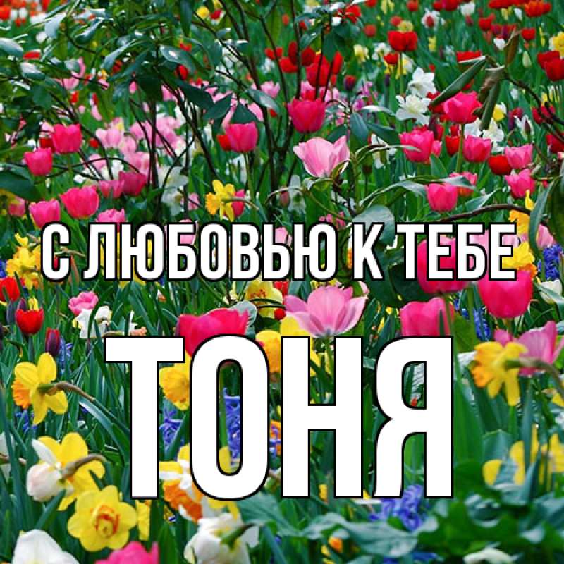 Картинка С любовью к тебе, Тоня