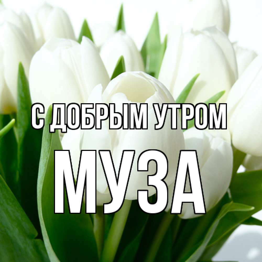 Открытка  с именем. Муза, С добрым утром  