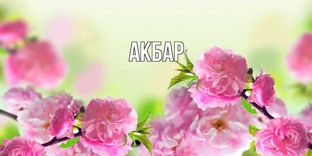 Открытка  с именем. Акбар, Главная  