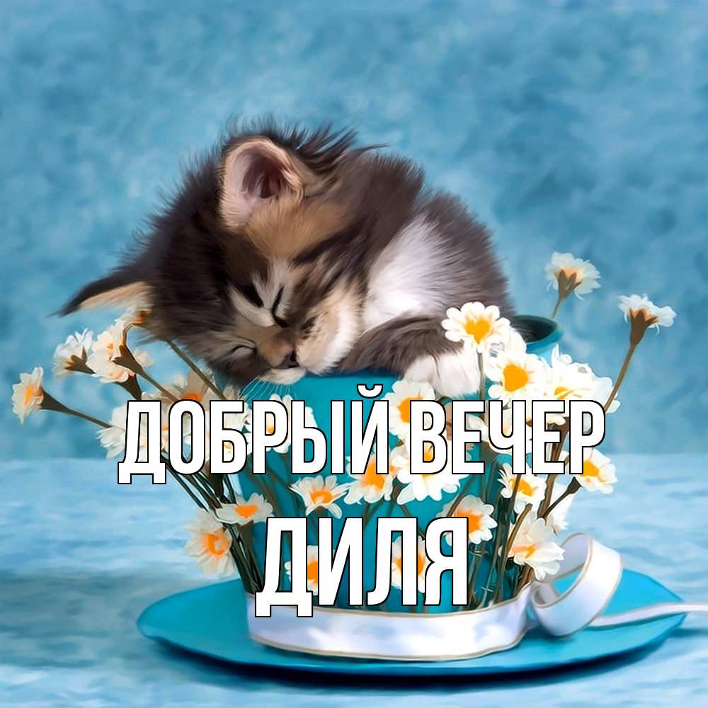 Открытка  с именем. Диля, Добрый вечер  