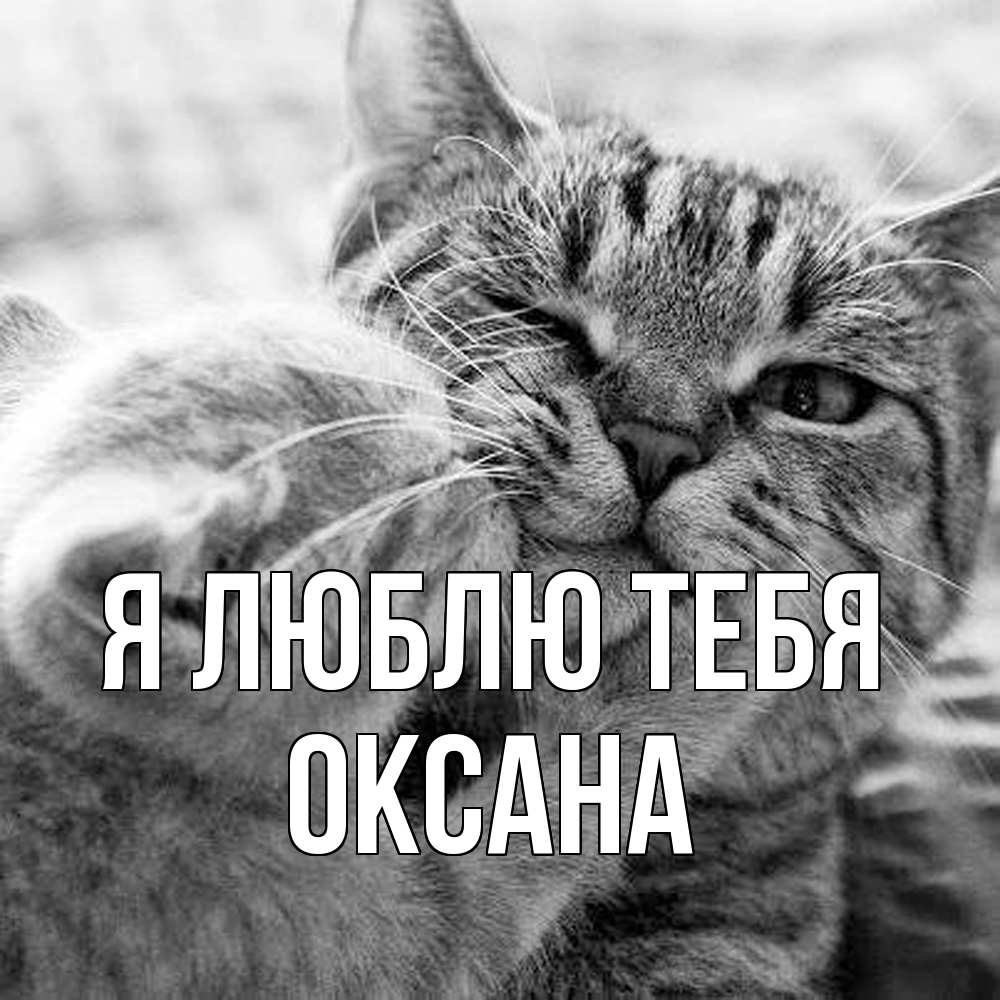 Открытка  с именем. Оксана, Я люблю тебя  
