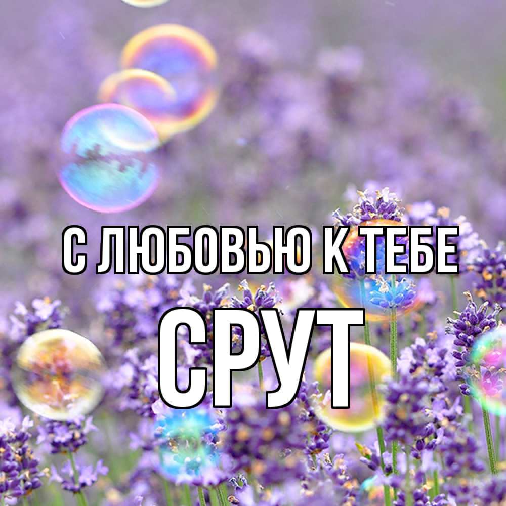 Открытка  с именем. срут, С любовью к тебе  