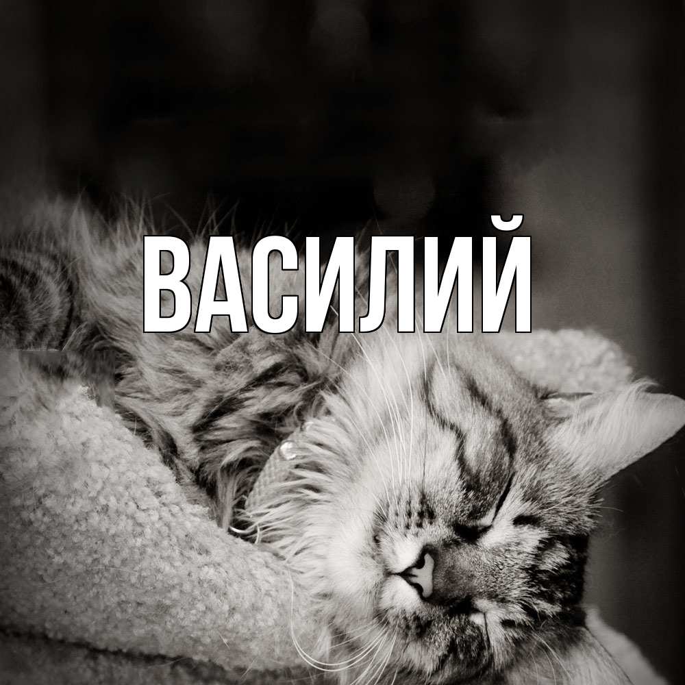 Открытка  с именем. Василий, Главная  