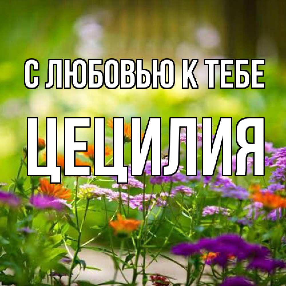 Открытка  с именем. Цецилия, С любовью к тебе  