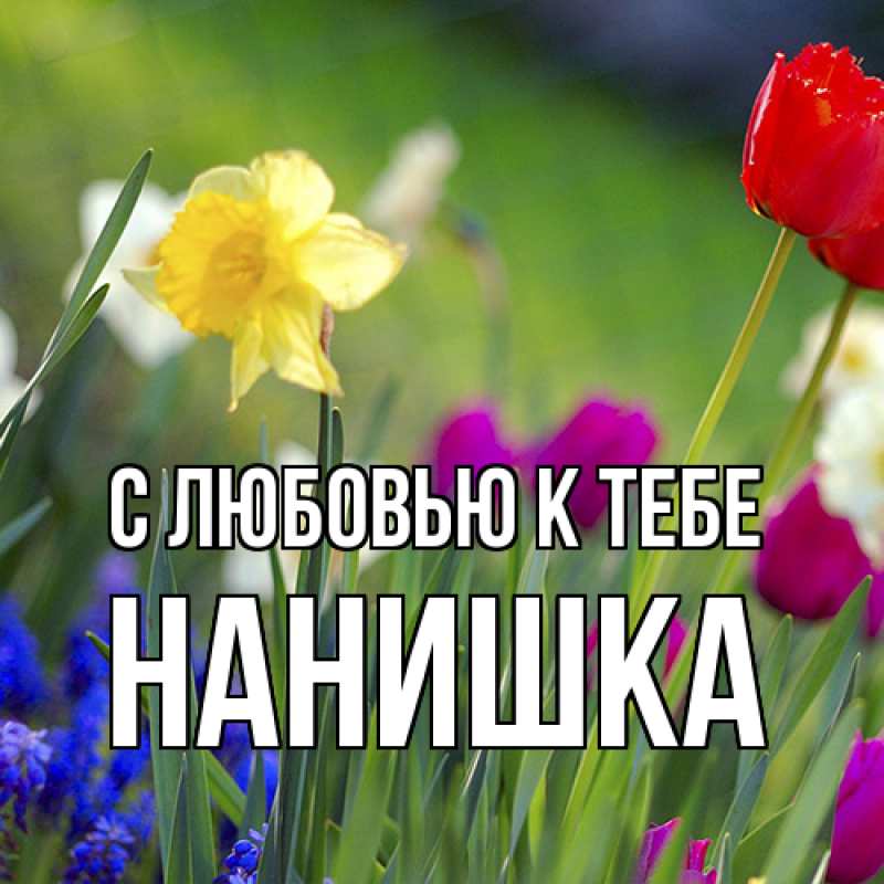 Картинка С любовью к тебе, Нанишка