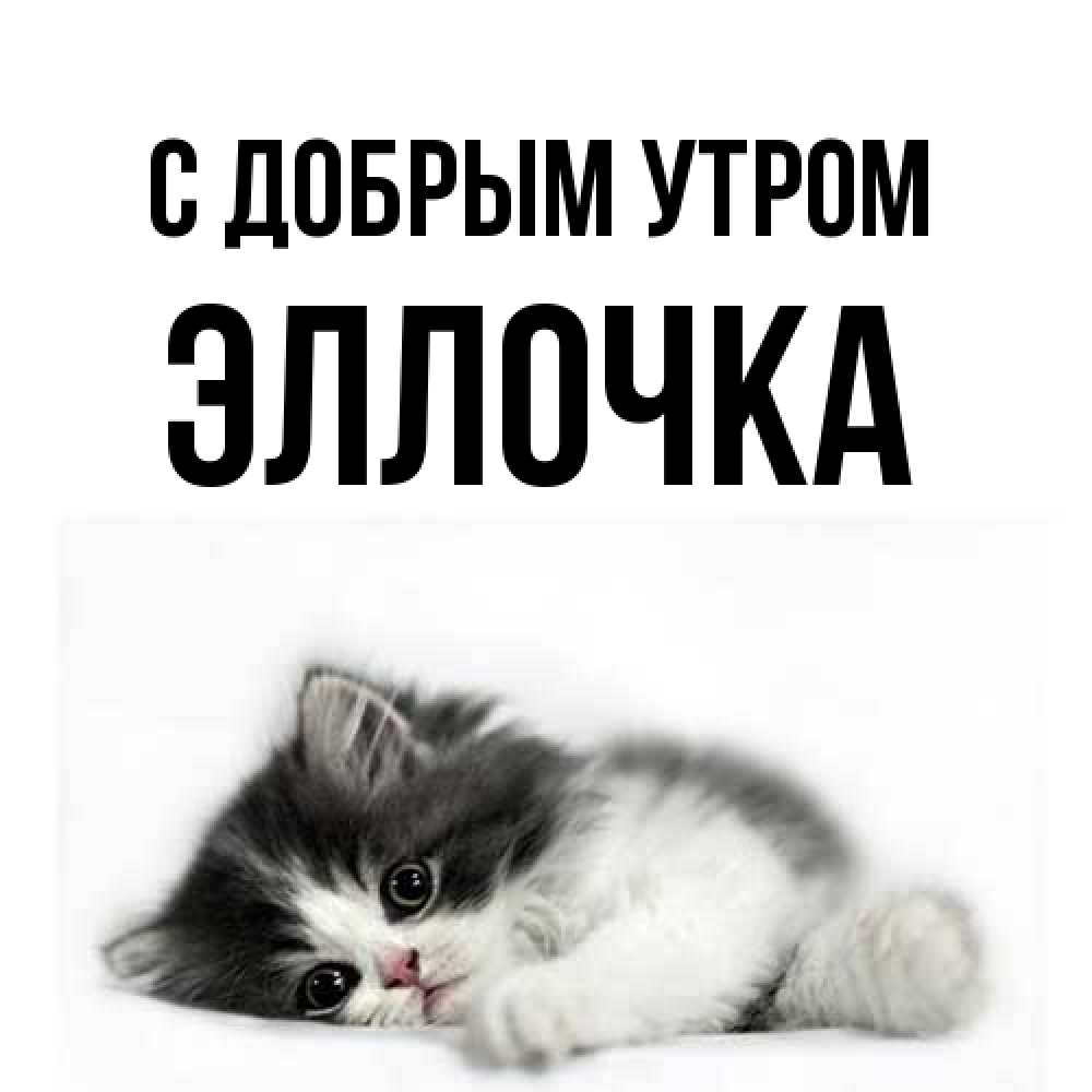 Открытка  с именем. Эллочка, С добрым утром  