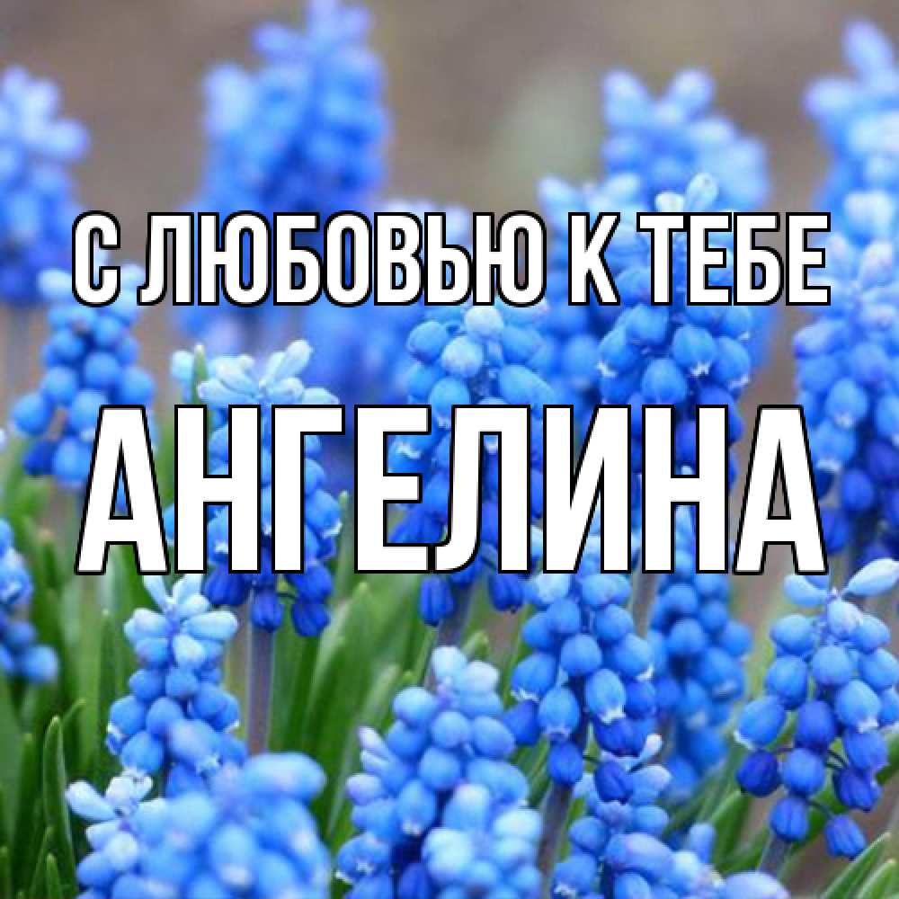 Открытка  с именем. Ангелина, С любовью к тебе  