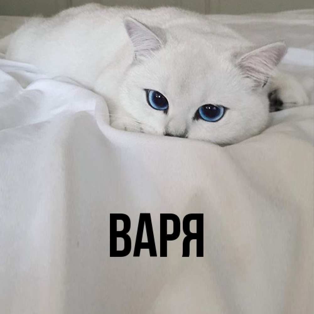 Открытка  с именем. варя, Главная  