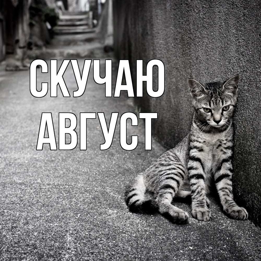 Открытка  с именем. Август, Скучаю  