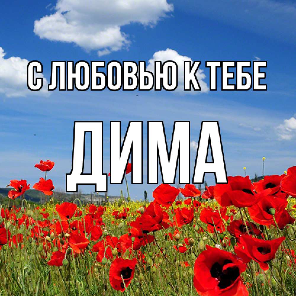 Открытка  с именем. Дима, С любовью к тебе  